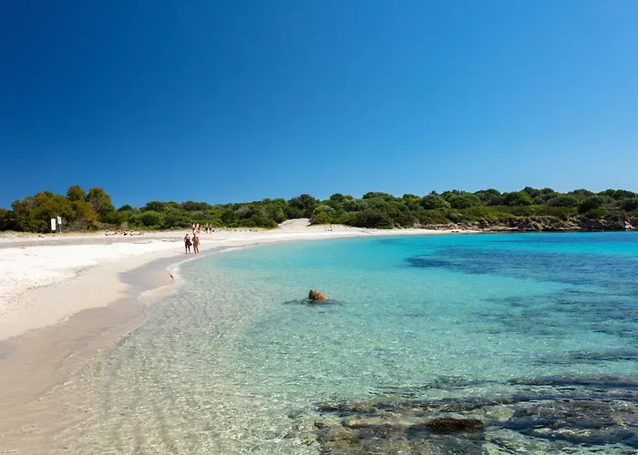 Amazing View Fronte Mare Olbia